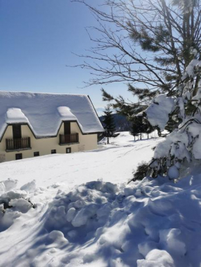 Casa Vrelo, Golija
